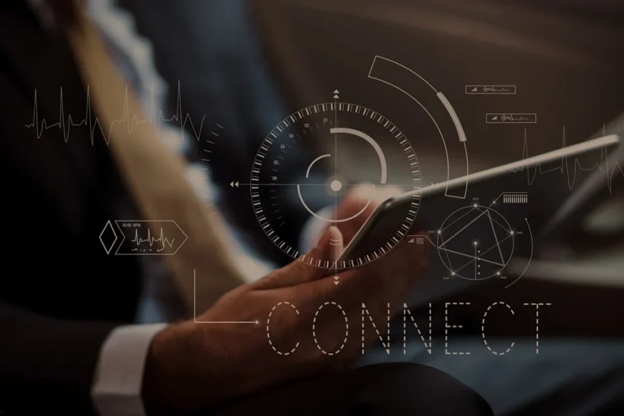 Internet fraud and Information Technology law